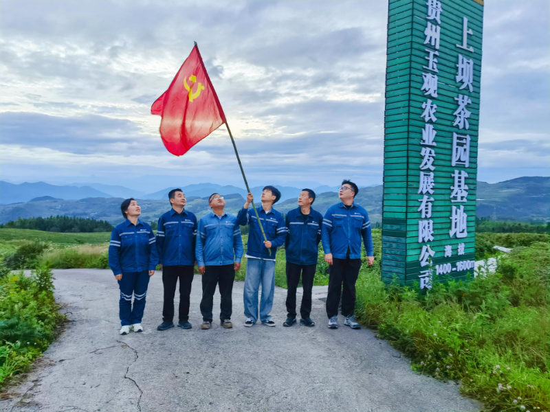 图片7.jpg