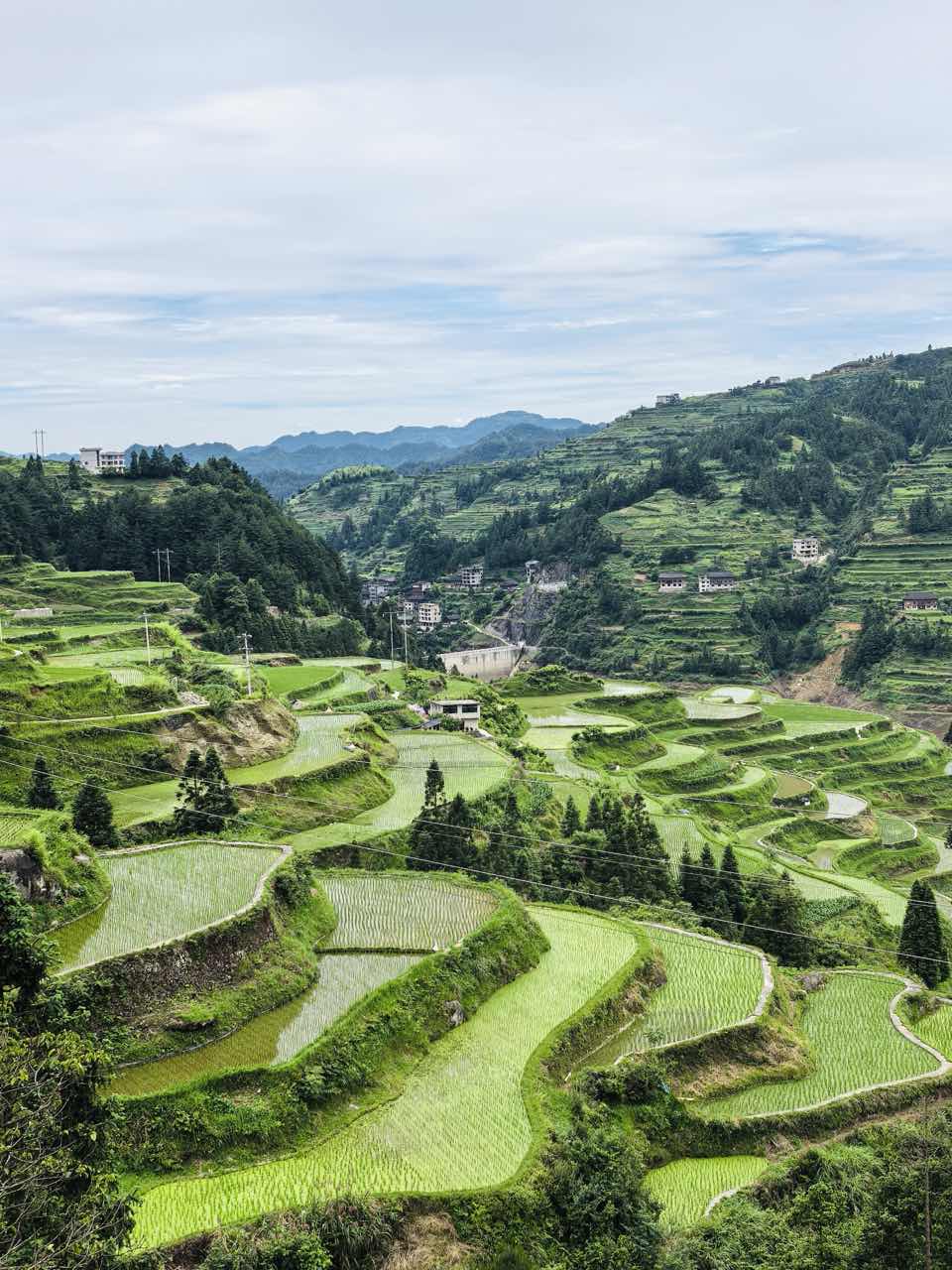 摄影作品：山不语，梯田成诗（生技：宋建桐）.jpg