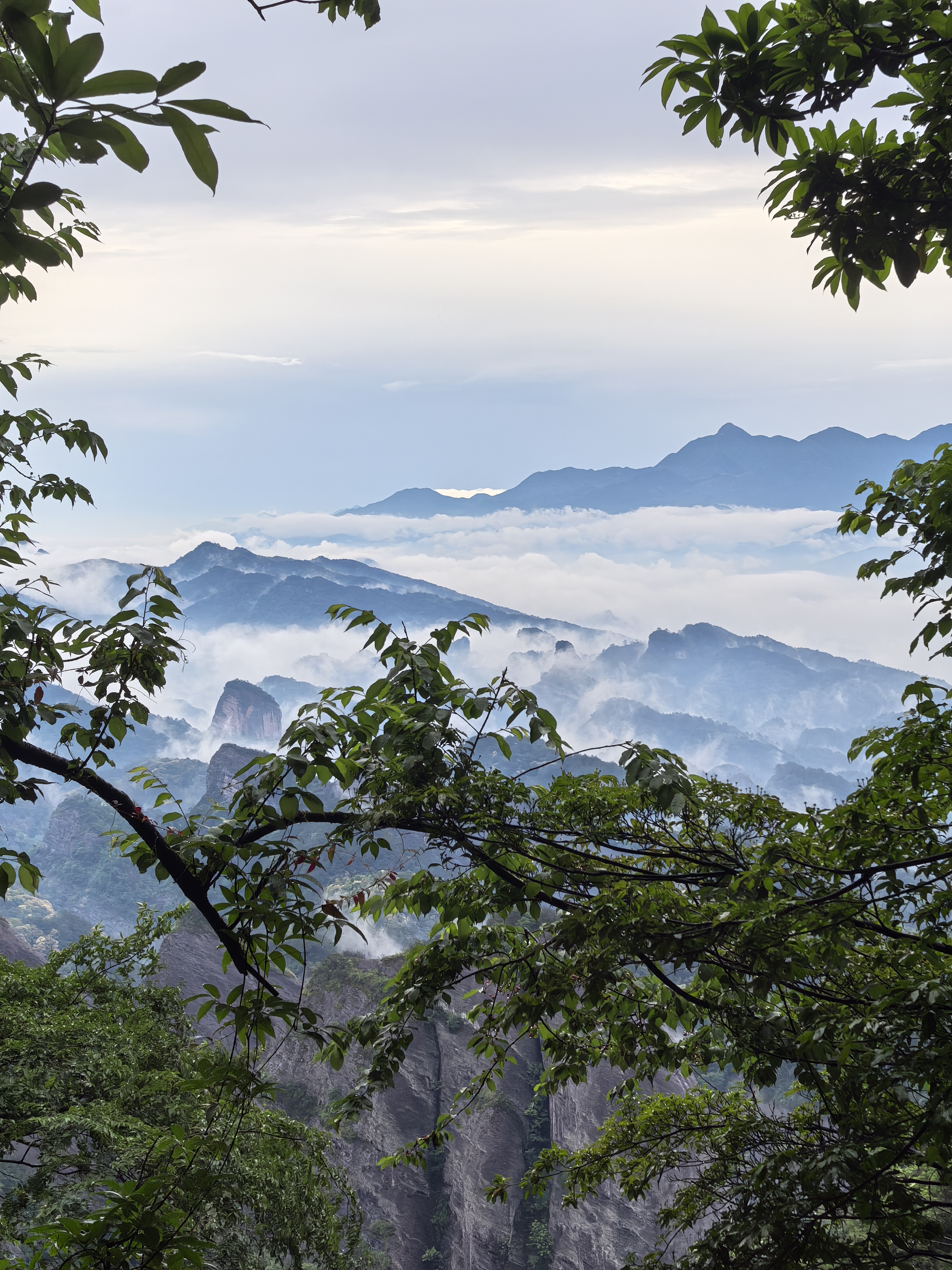 云峰杨顺蓉.jpg