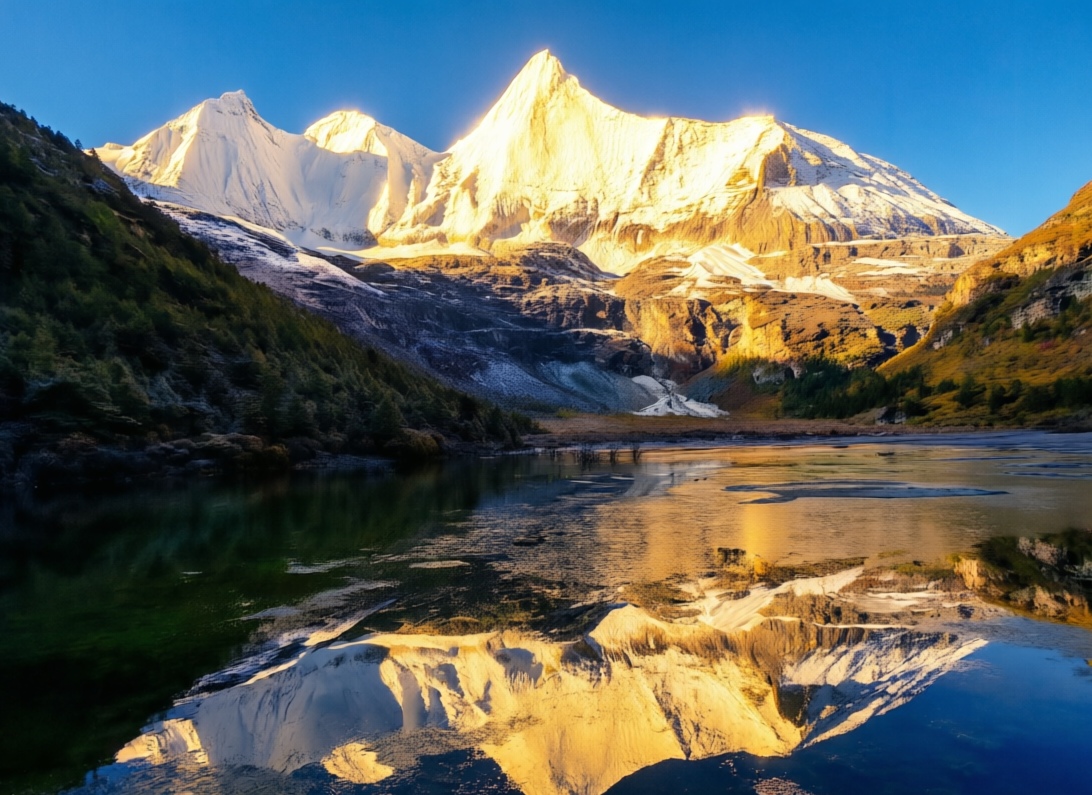 杨顺蓉金山景影.jpg