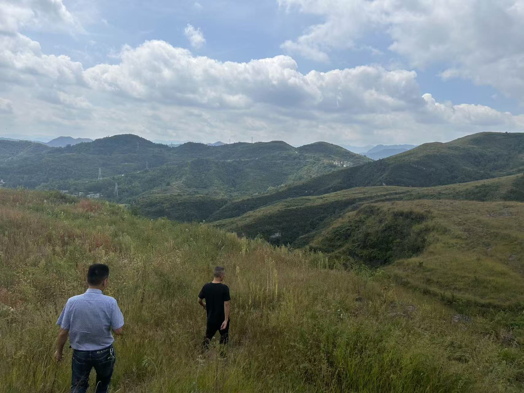 纳雍电厂员工在山上进行选址.png